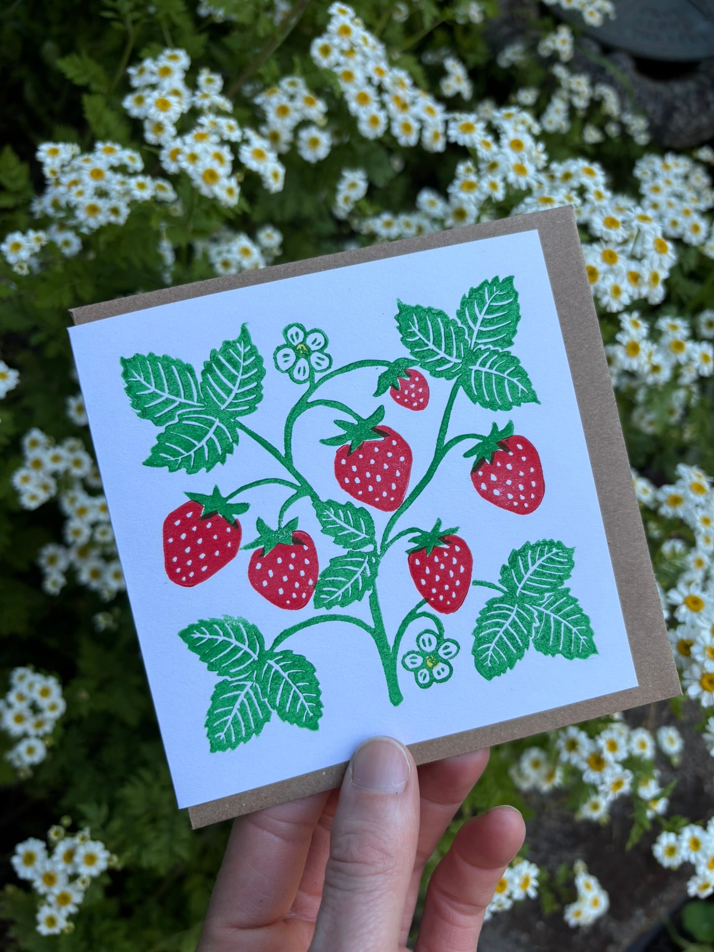 Monthly Card Club (2 cards each month!)