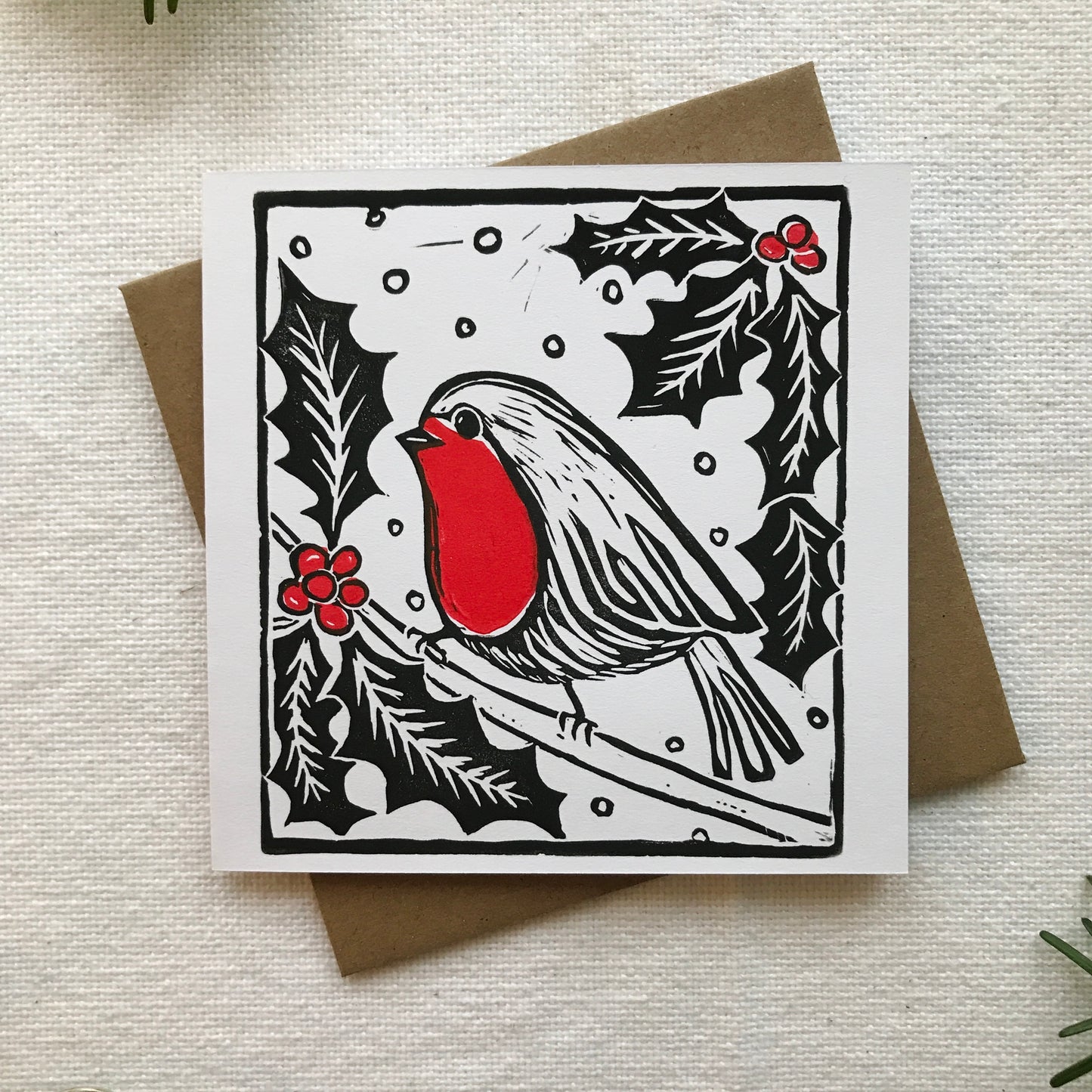 Robin and Holly Holiday Card