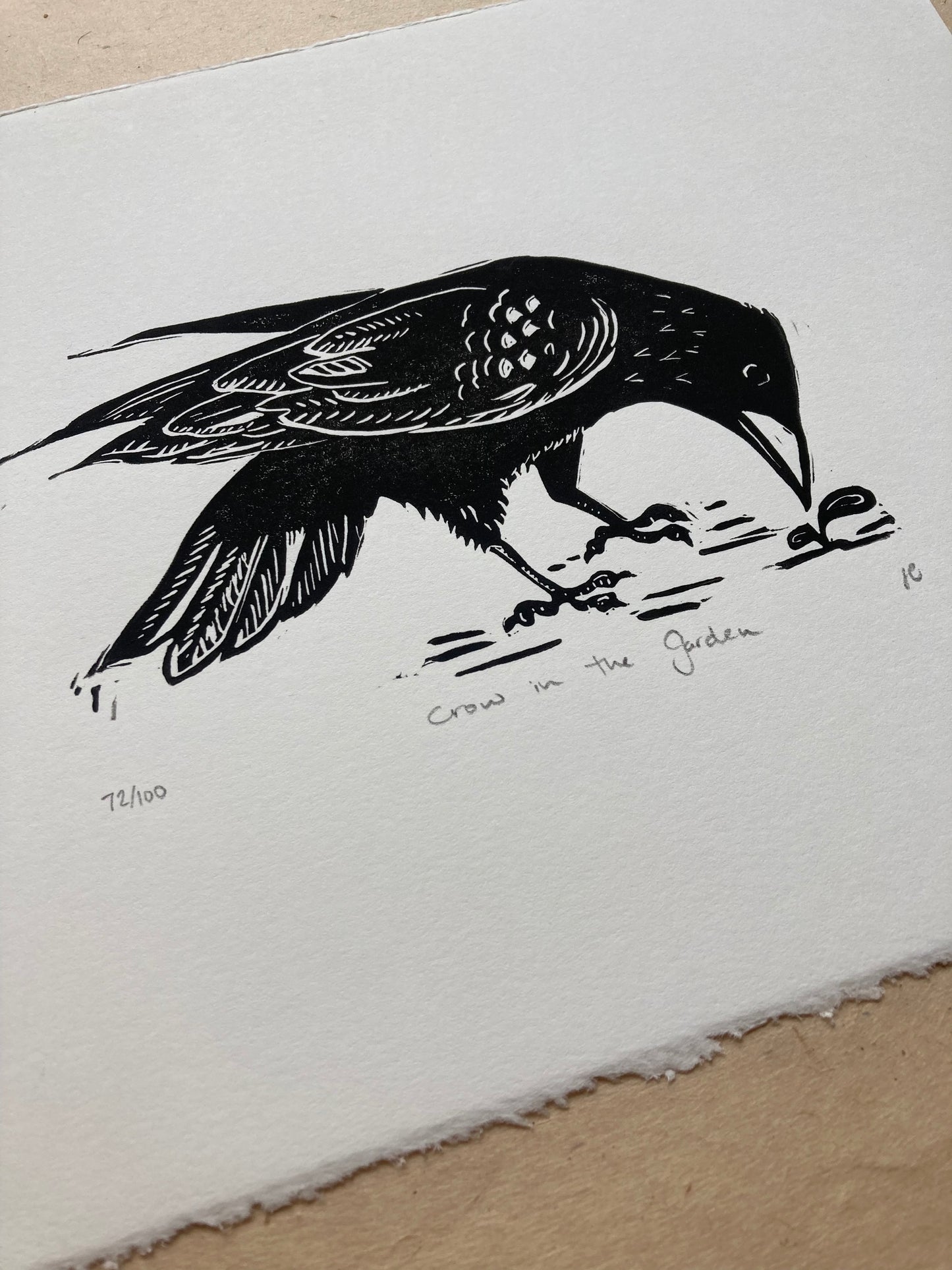 Crow in the Garden