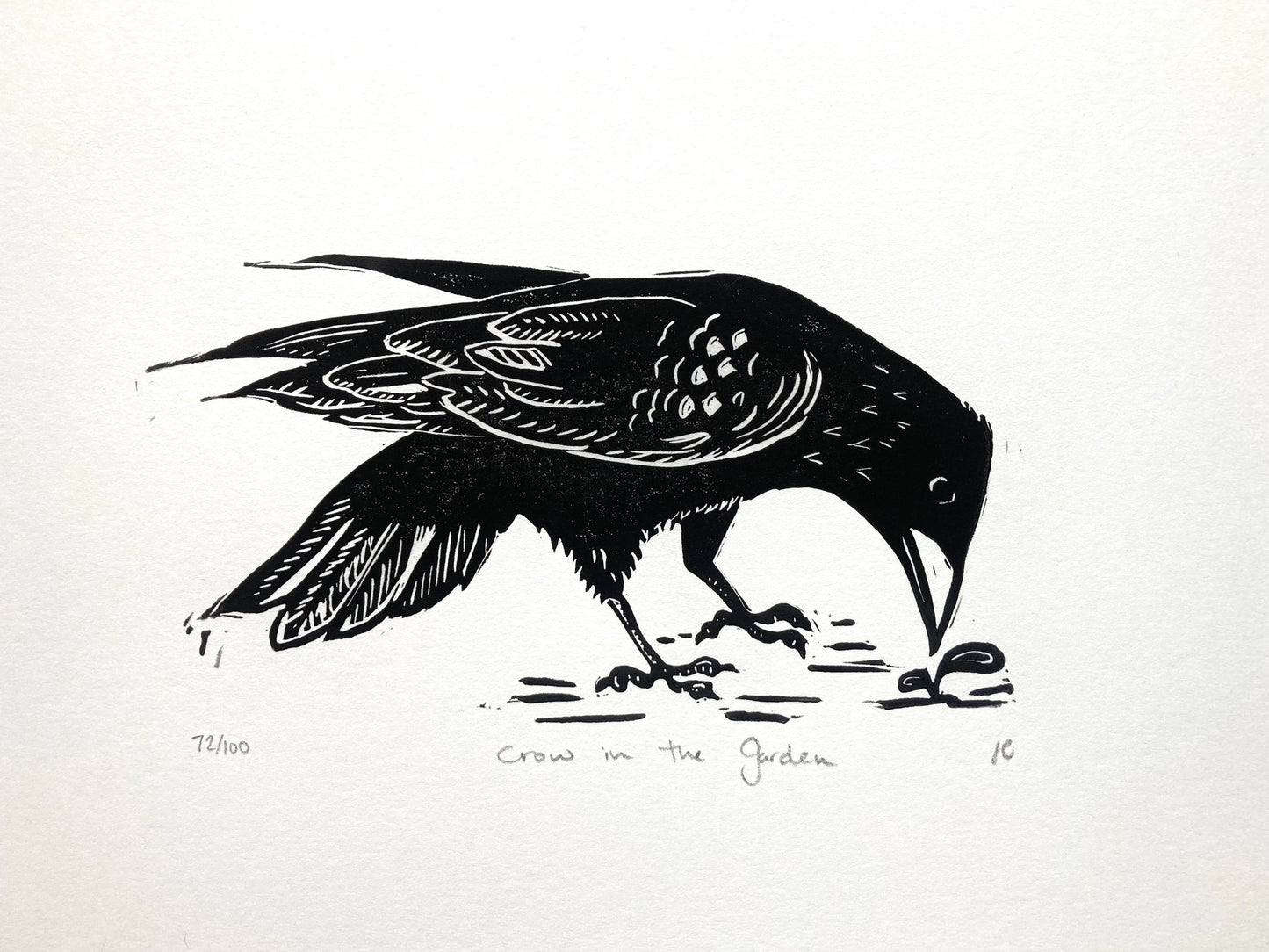 Crow in the Garden
