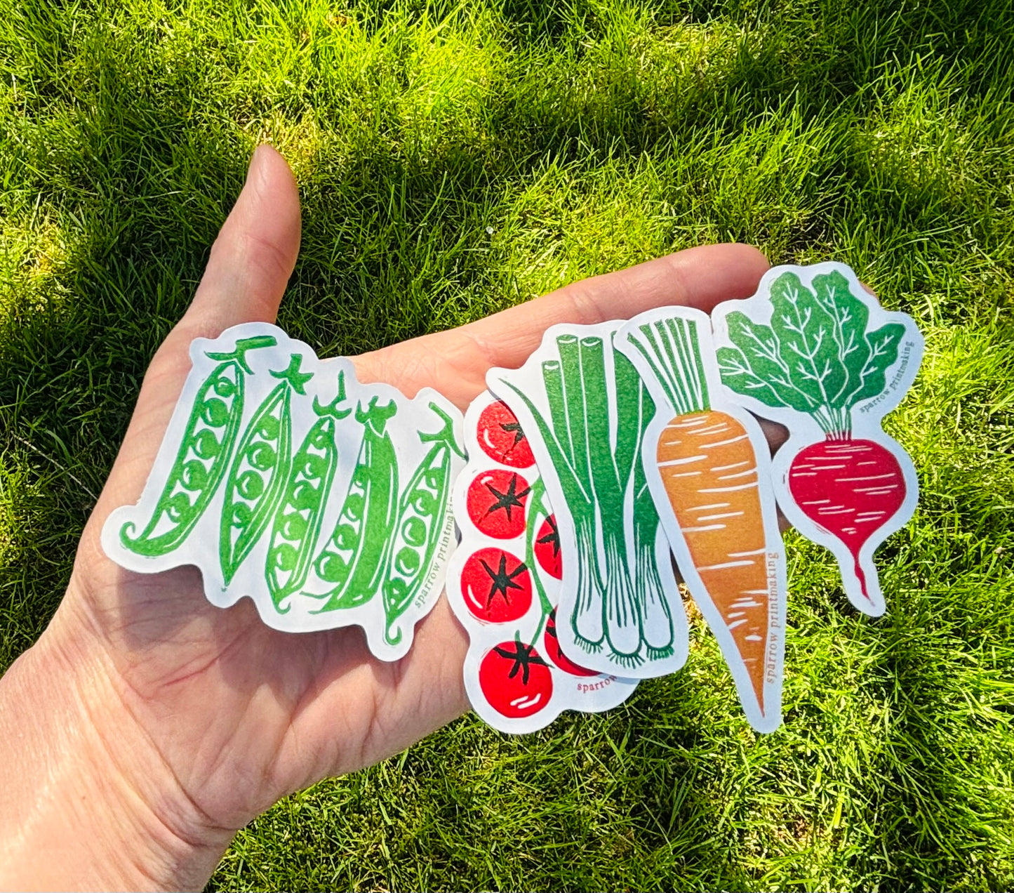 Carrot Sticker