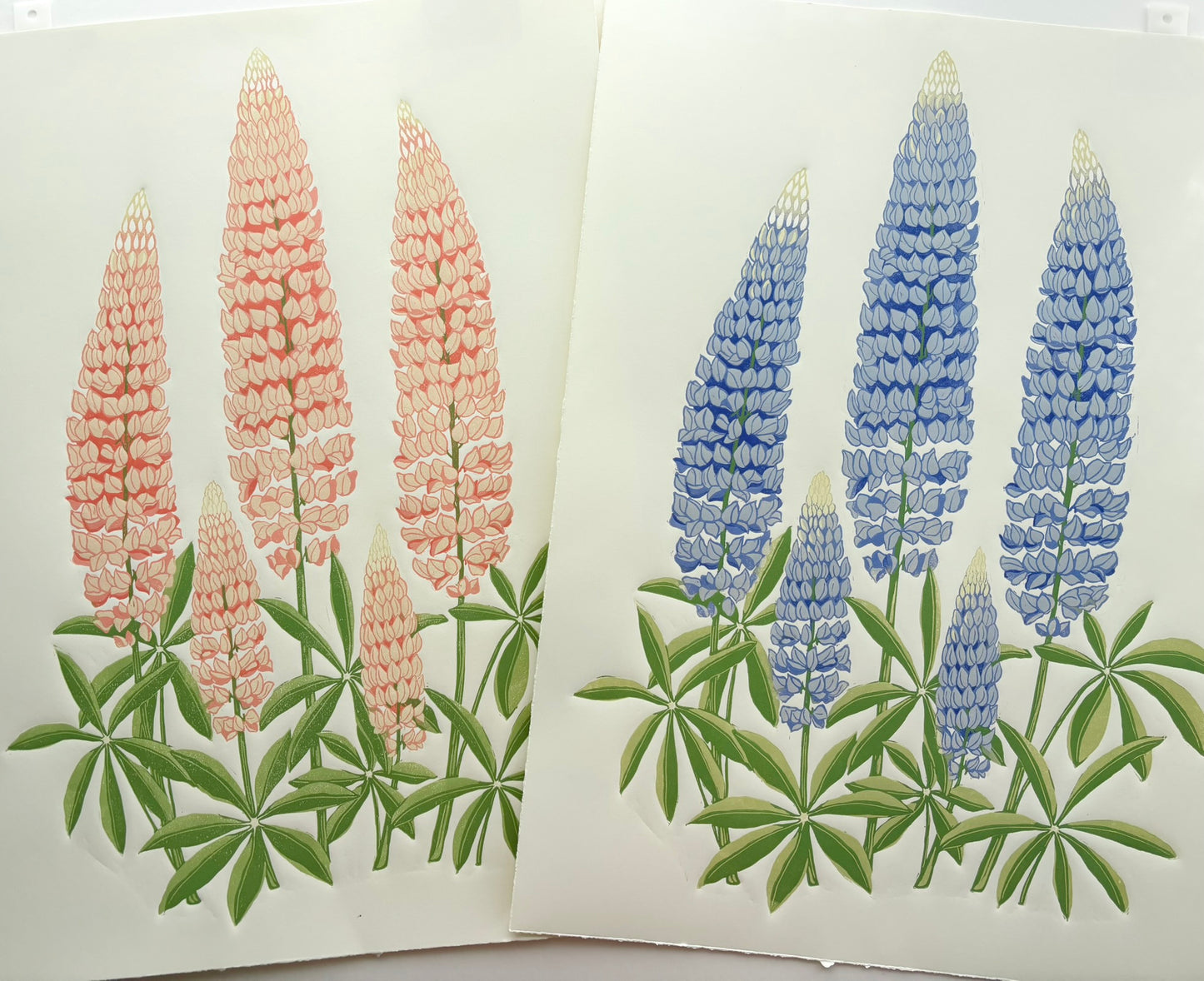 Garden Lupine Reduction Linoprint