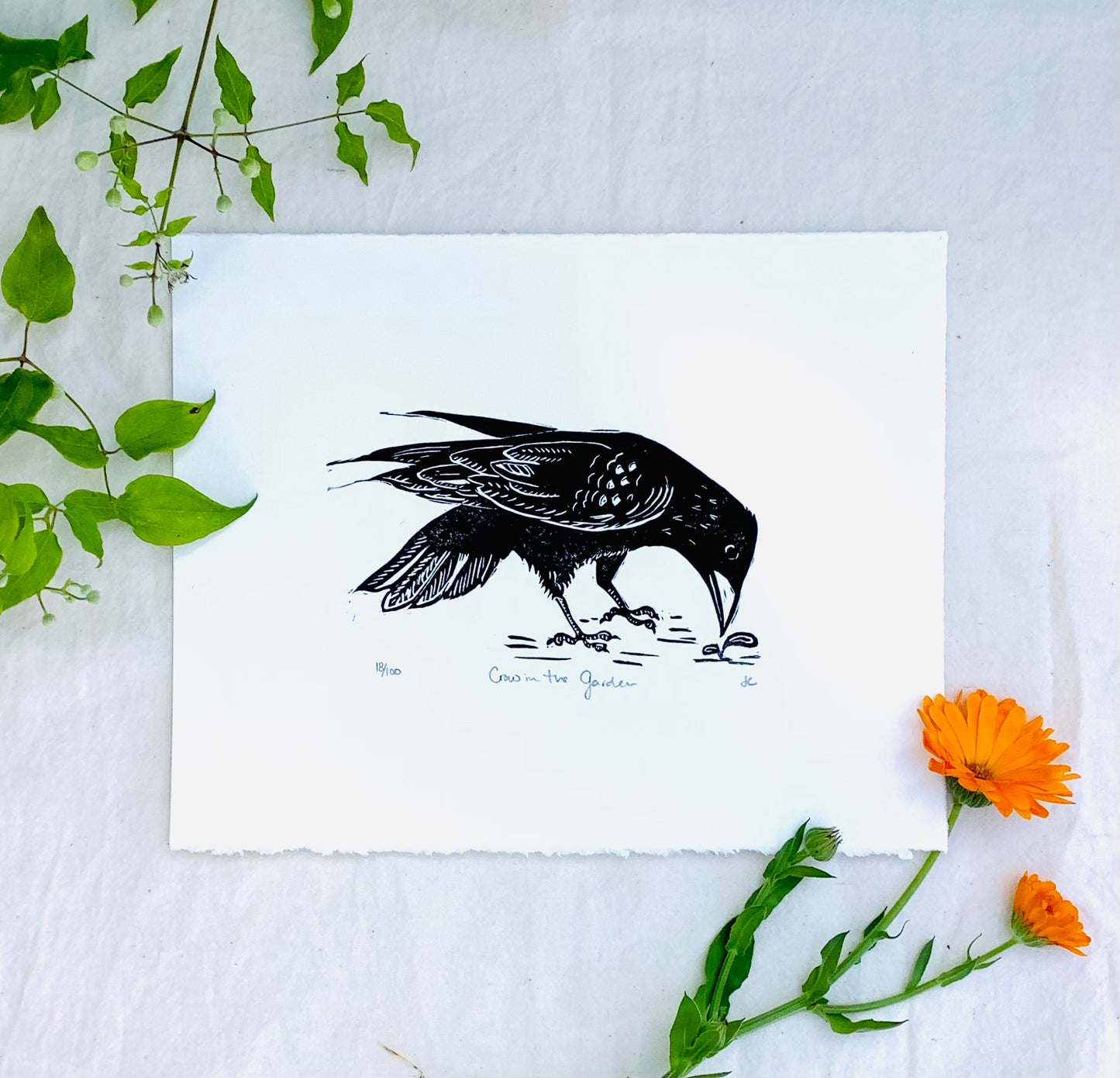 Crow in the Garden